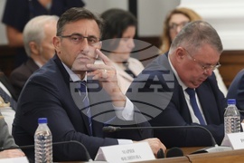 Министерски съвет - „Ефектът на еврозоната. Говори опитът на страните членки” - дискусия