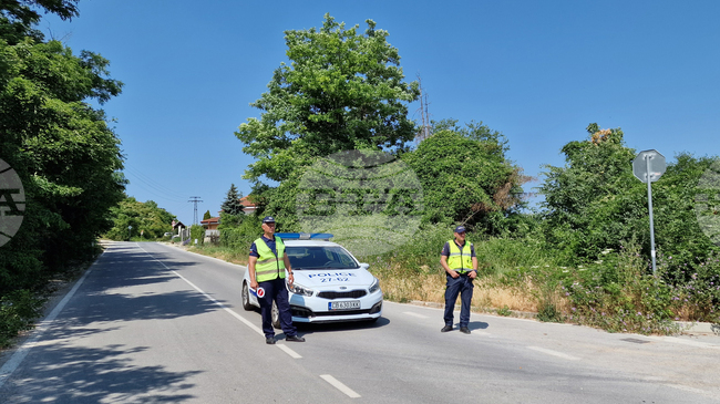 Shumen Region Warns of Feline Predator on the Loose