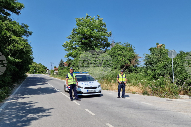 Shumen Region Warns of Feline Predator on the Loose