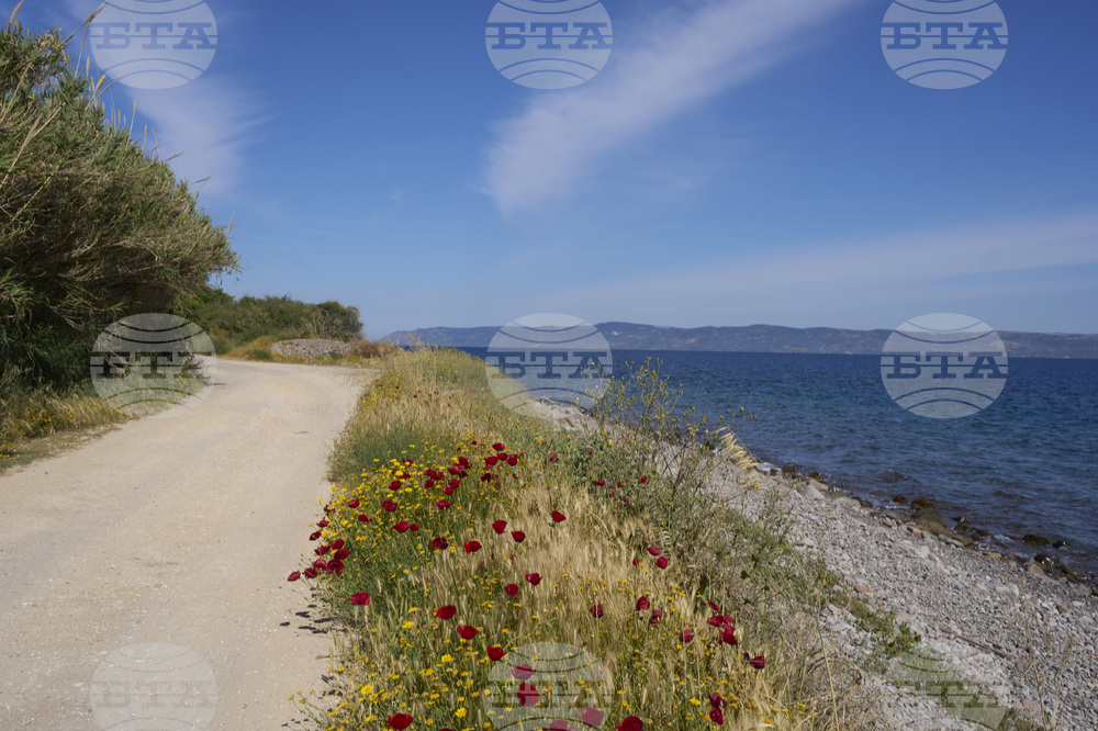 Migration Greece Crisis Anniversary