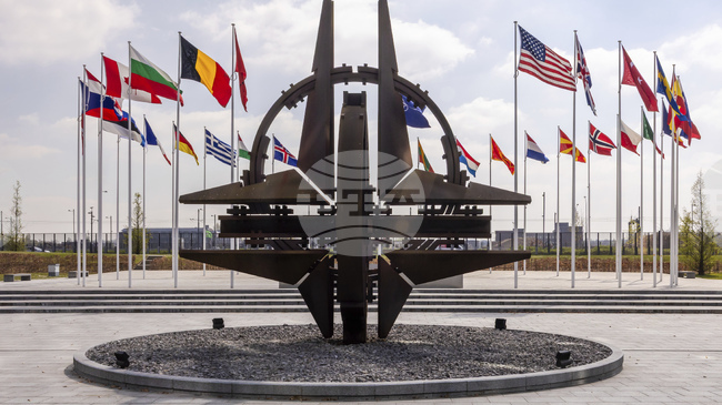 Германия, Норвегия и Естония обещават помощ за Украйна