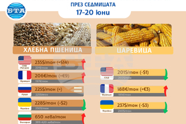 Цени на основни зърнени стоки по световните борси през седмицата 17-20 юни