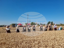 Вълчедръм -жътва - откриване