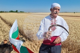Вълчедръм -жътва - откриване