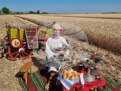 Вълчедръм -жътва - откриване