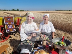 Вълчедръм -жътва - откриване