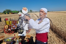 Вълчедръм -жътва - откриване