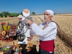 Вълчедръм -жътва - откриване