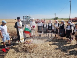 Вълчедръм -жътва - откриване