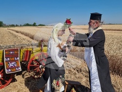 Вълчедръм -жътва - откриване