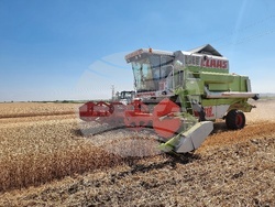 Вълчедръм -жътва - откриване