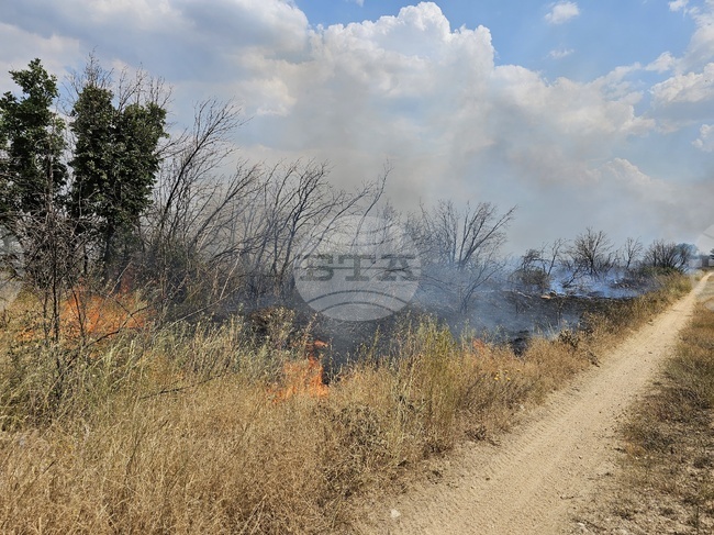 Общо 3 500 декара е унищожил първият голям пожар в област Хасково 