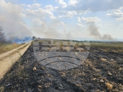 село Васково - пожар. Снимка: Кореспондент на БТА в Хасково Николай Грудев 