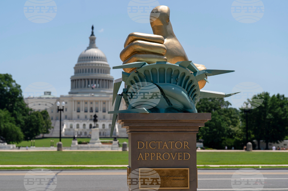 Art Installation Washington