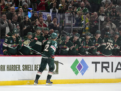 Stars Wild Hockey