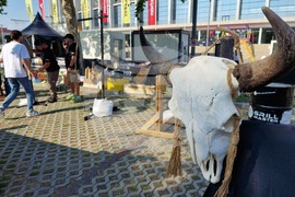 Румъния - фестивал за барбекю в Европа