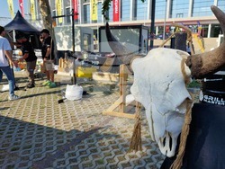 Румъния - фестивал за барбекю в Европа