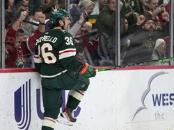 Stars Wild Hockey