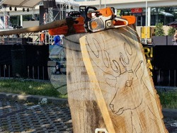 Румъния - фестивал за барбекю в Европа