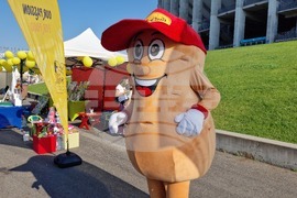 Румъния - фестивал за барбекю в Европа