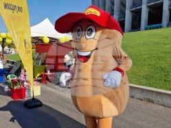 Румъния - фестивал за барбекю в Европа