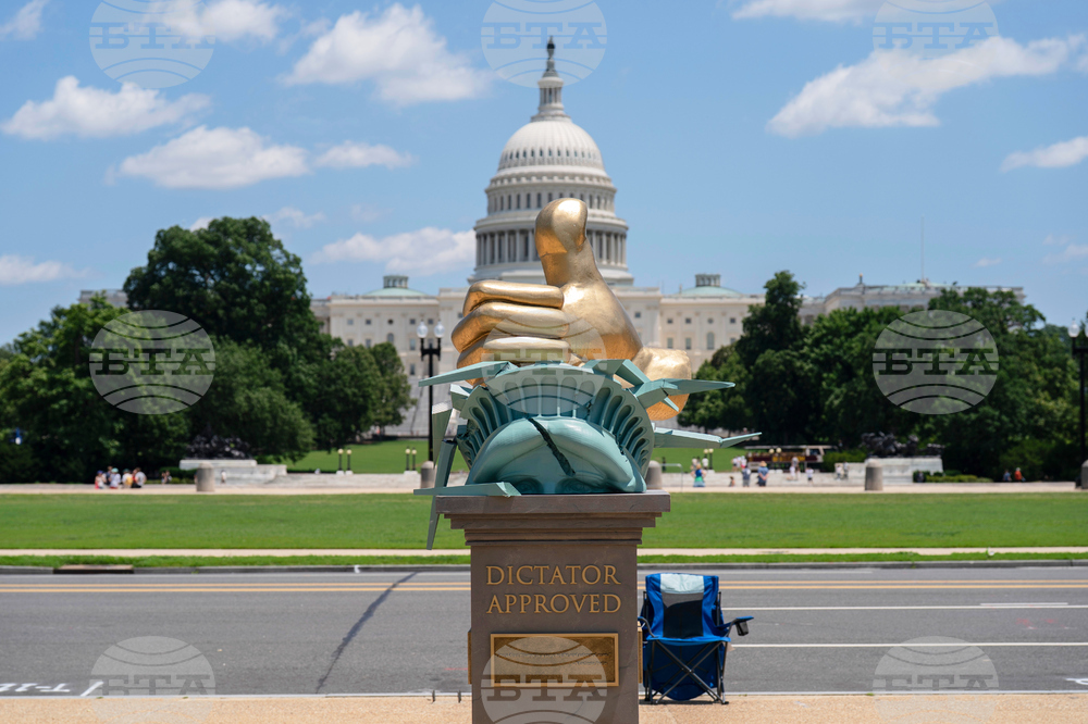 Art Installation Washington