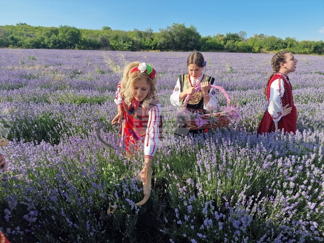 Международният фестивал на лавандулата за четвърти път превърна Чирпан в столица на ароматния лилав цвят 