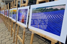 Чирпан - Фестивал на лавандулата - откриване