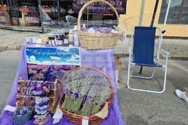 Чирпан - Фестивал на лавандулата - откриване