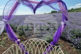 Чирпан - Фестивал на лавандулата - откриване