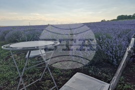 Чирпан - Фестивал на лавандулата - откриване