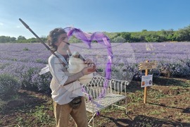 Чирпан - Фестивал на лавандулата - откриване