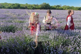 Чирпан - Фестивал на лавандулата - откриване