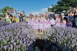 Чирпан - Фестивал на лавандулата - откриване