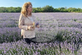 Чирпан - Фестивал на лавандулата - откриване