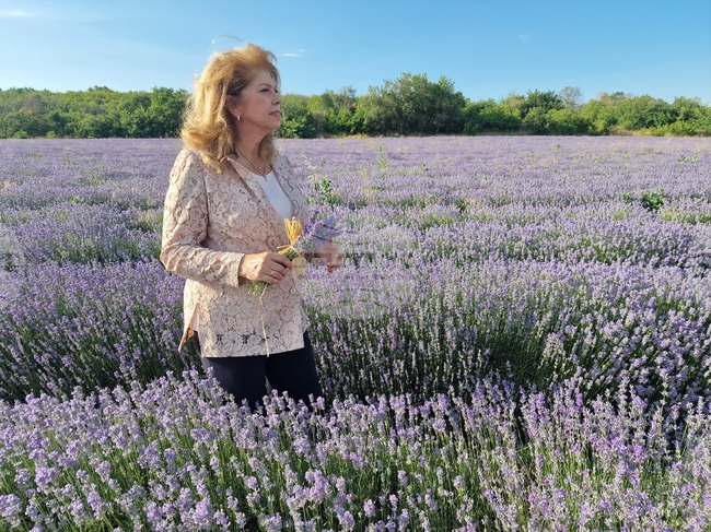 Кметът на Чирпан Ивайло Крачолов представи стратегията за развитие на туризма в общината пред вицепрезидента Илияна Йотова
