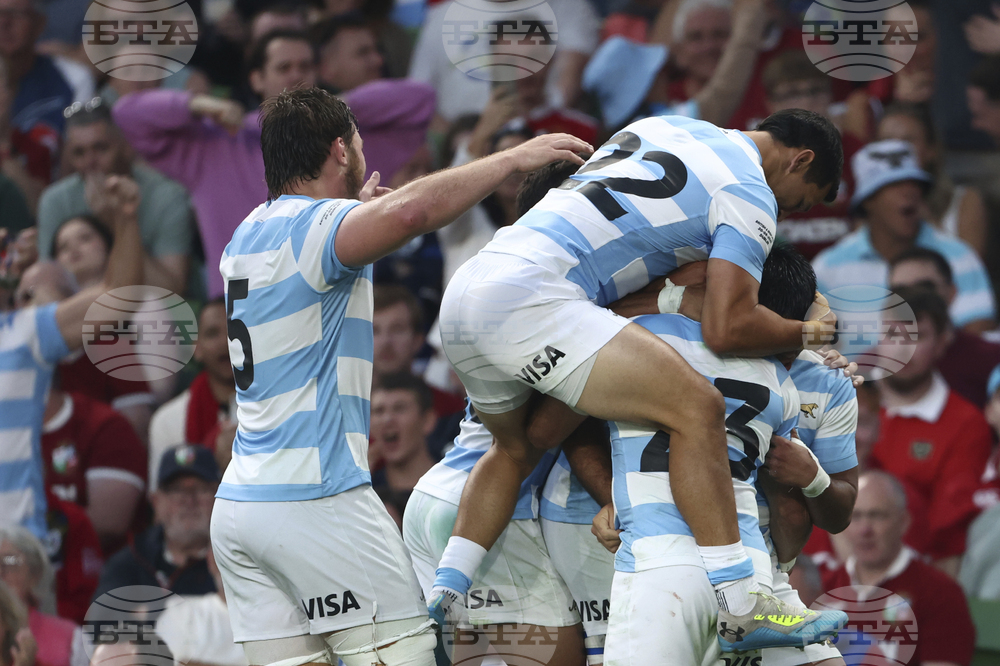 Ireland Rugby Lions Argentina