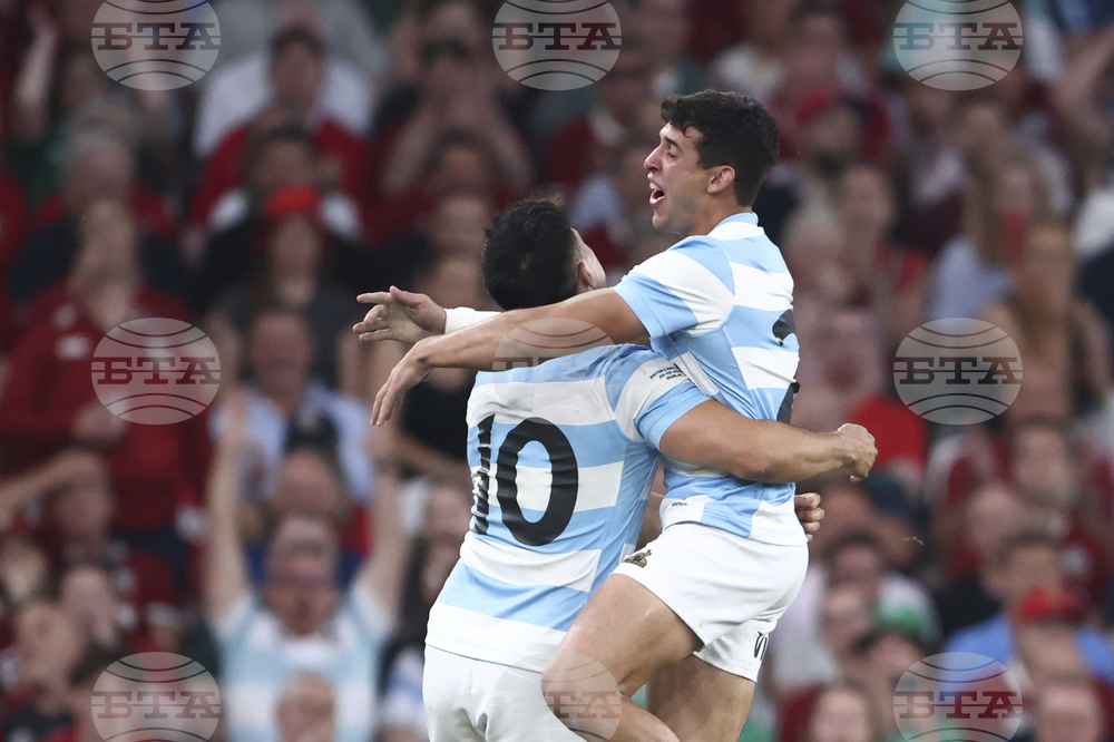 Ireland Rugby Lions Argentina