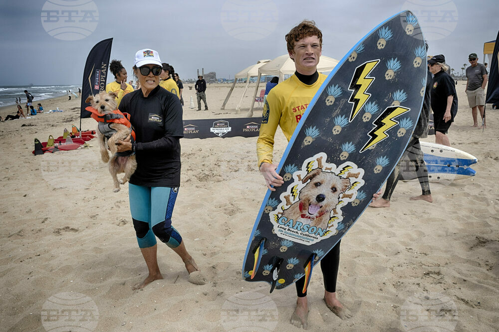 Huntington Beach Dog Surfing
