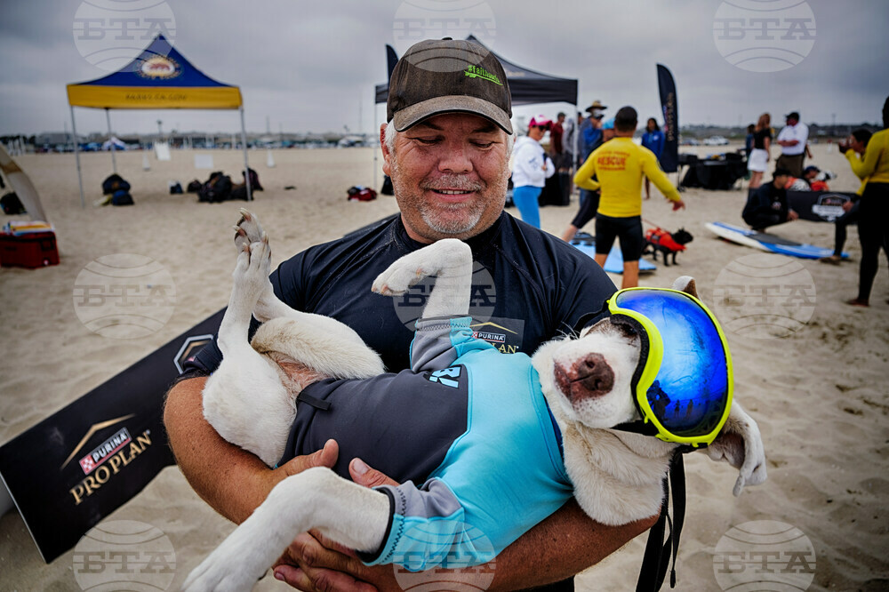 Huntington Beach Dog Surfing
