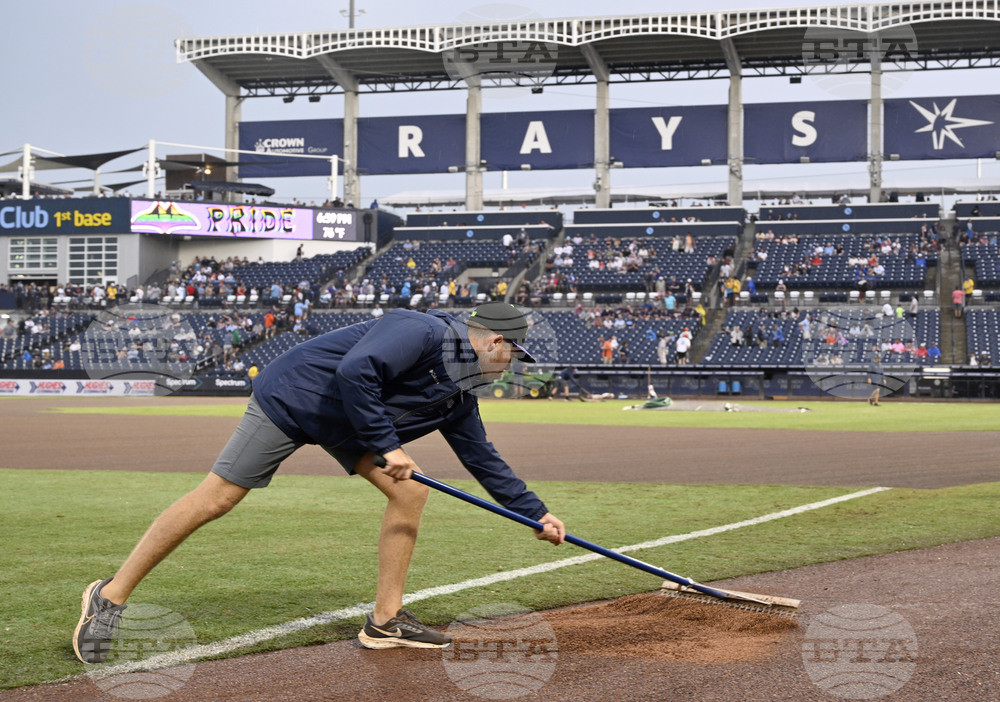 Tigers Rays Baseball