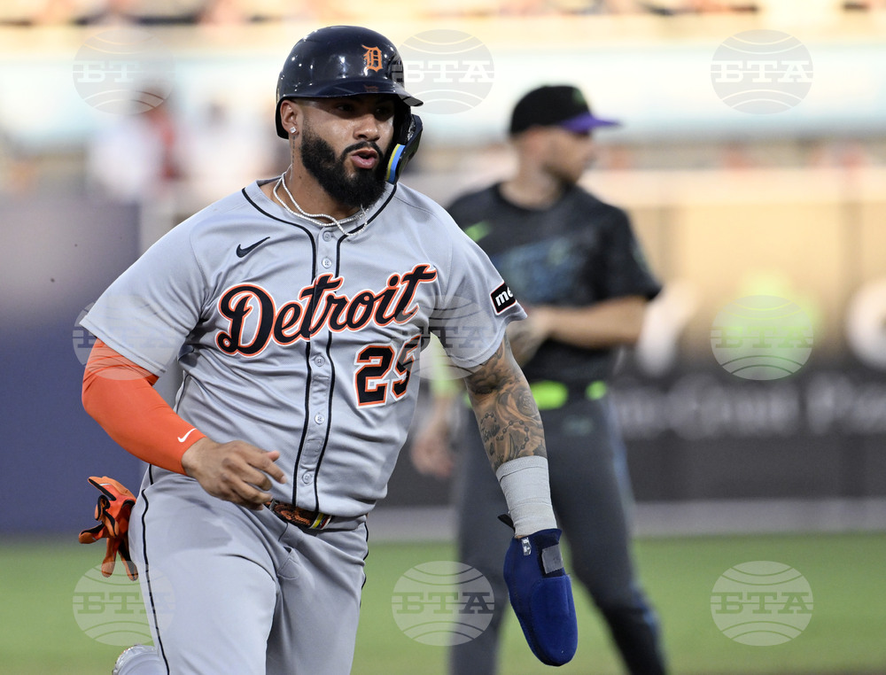 Tigers Rays Baseball