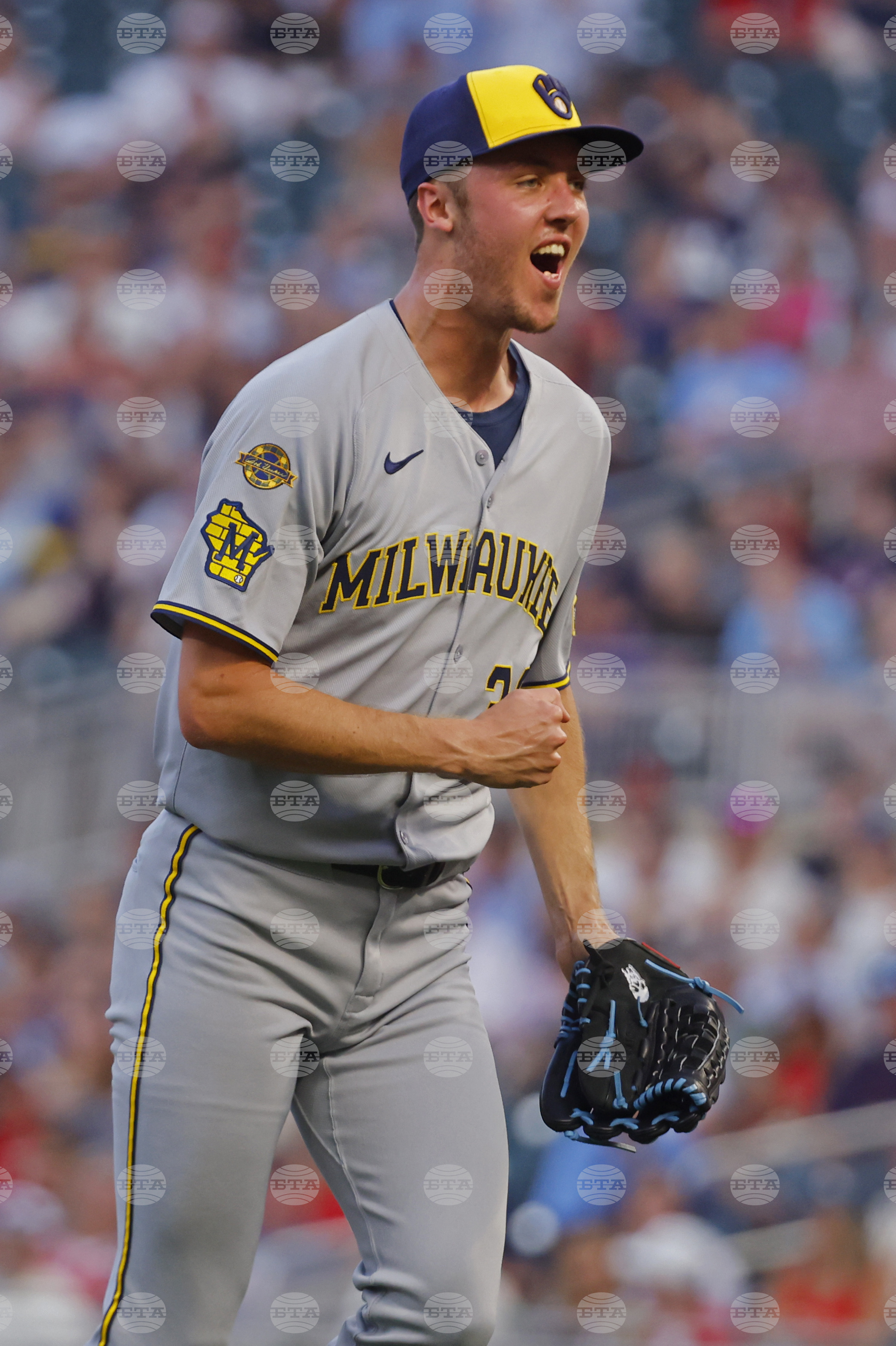 Brewers Twins Baseball