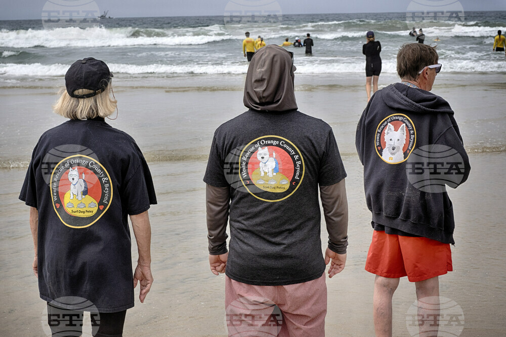 Huntington Beach Dog Surfing