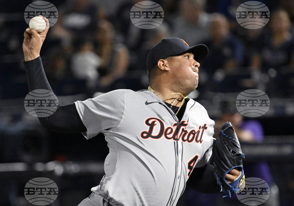 Tigers Rays Baseball