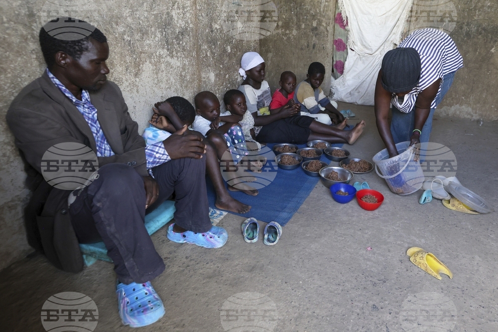 UN 80th Anniversary Humanitarian Aid