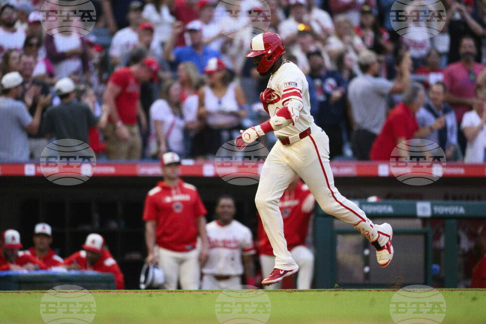 Astros Angels Baseball