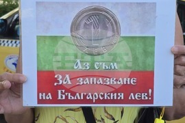Видин - протест за запазване на българския лев - автошествие