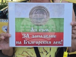 Видин - протест за запазване на българския лев - автошествие