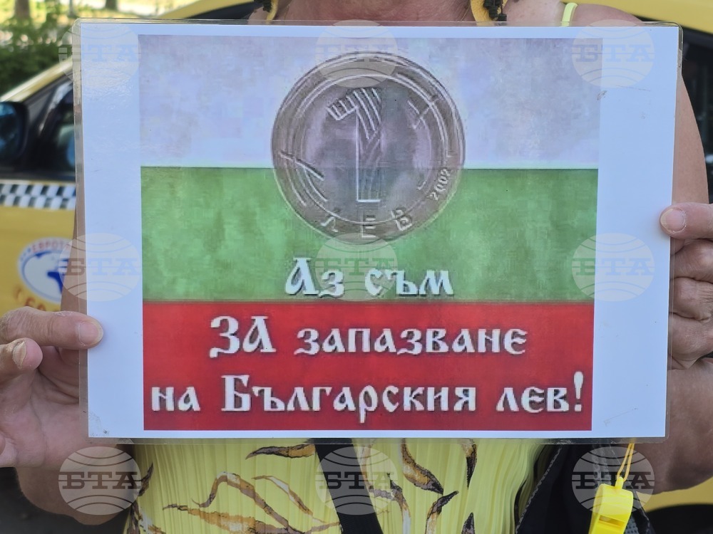 Видин - протест за запазване на българския лев - автошествие